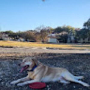 Meet your Posher, Maddi